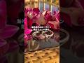 海外旅行のルーティン限定チャーム集め#youtubeshorts