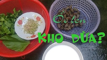 Tự tay làm ốc len xào nước cốt dừa và cái kết
