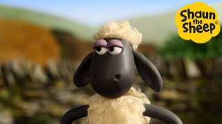 Shaun the Sheep  Sassy Shaun  Cartoons for Kids  Full Episodes Compilation [1 hour]