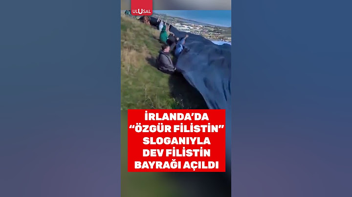 İrlanda'da Özgür Filistin sloganıyla dev Filistin bayrağı açıldı #shorts #irlanda #filistin
