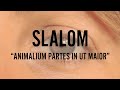 Slalom  animalium partes in ut maior