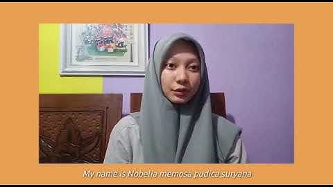 Procedure Text - How to make Ice Yakult Milk and Jelly