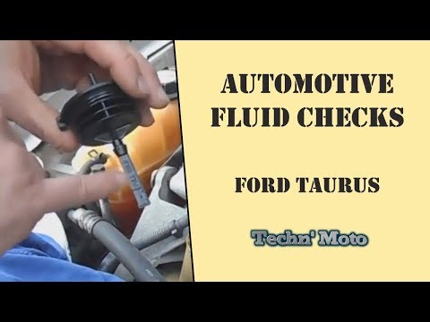 How to Check Fluid Levels- 2006 Ford Taurus | Techn&rsquo; Moto