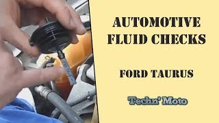 How to Check Fluid Levels- 2006 Ford Taurus | Techn' Moto