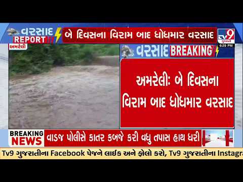 Heavy Rain Returns to Amreli After Two-Day Break | Khambha Flooded | TV9Gujarati