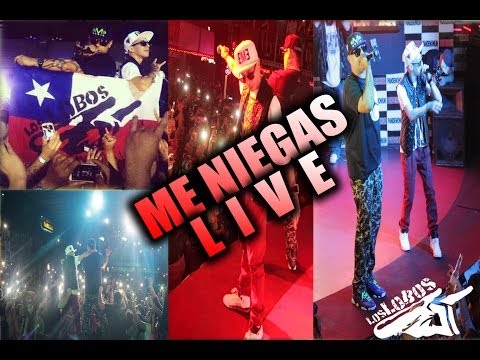 Baby Rasta Y Gringo – Me Niegas  Live – 2013 mp3 ke stažení