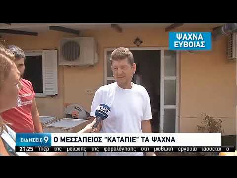 Εύβοια | Βιβλική καταστροφή από την θεομηνία | 09/08/2020 | ΕΡΤ