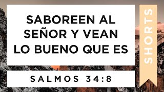 Salmos 34:8 - Meditaciones Diarias