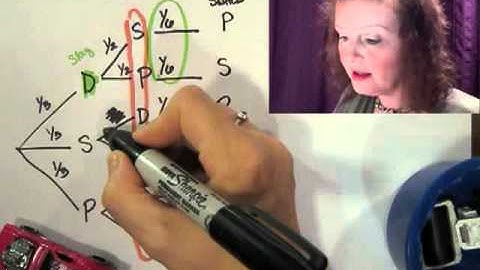 Monty Hall Problem Explained