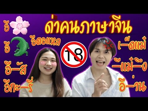 คนจีนเค้าพูดกันยังไง Ep.2 คำด่าภาษาจีน (ใช้ได้จริงในชีวิตประจำวัน) 18+ | P'sel CHANNEL