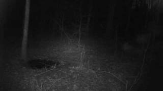 030710pm702#1 - Copy.AVI