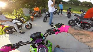 Grom Squad Daily Upload 31