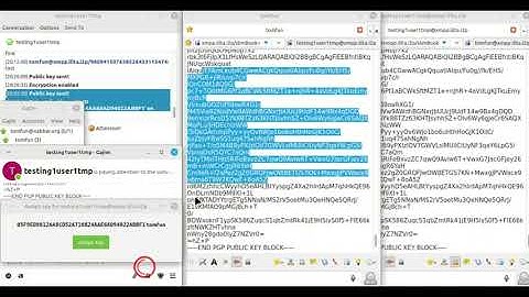 XMPP clients testing. I2P configuration for jabber. Pidgin, Gajim, Psi-Plus, Dino.