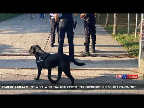 I CANI DELL'UNITA' CINOFILA DELLA POLIZIA LOCALE PRESENTI IL PRIMO GIORNO DI SCUOLA | 13/09/2022