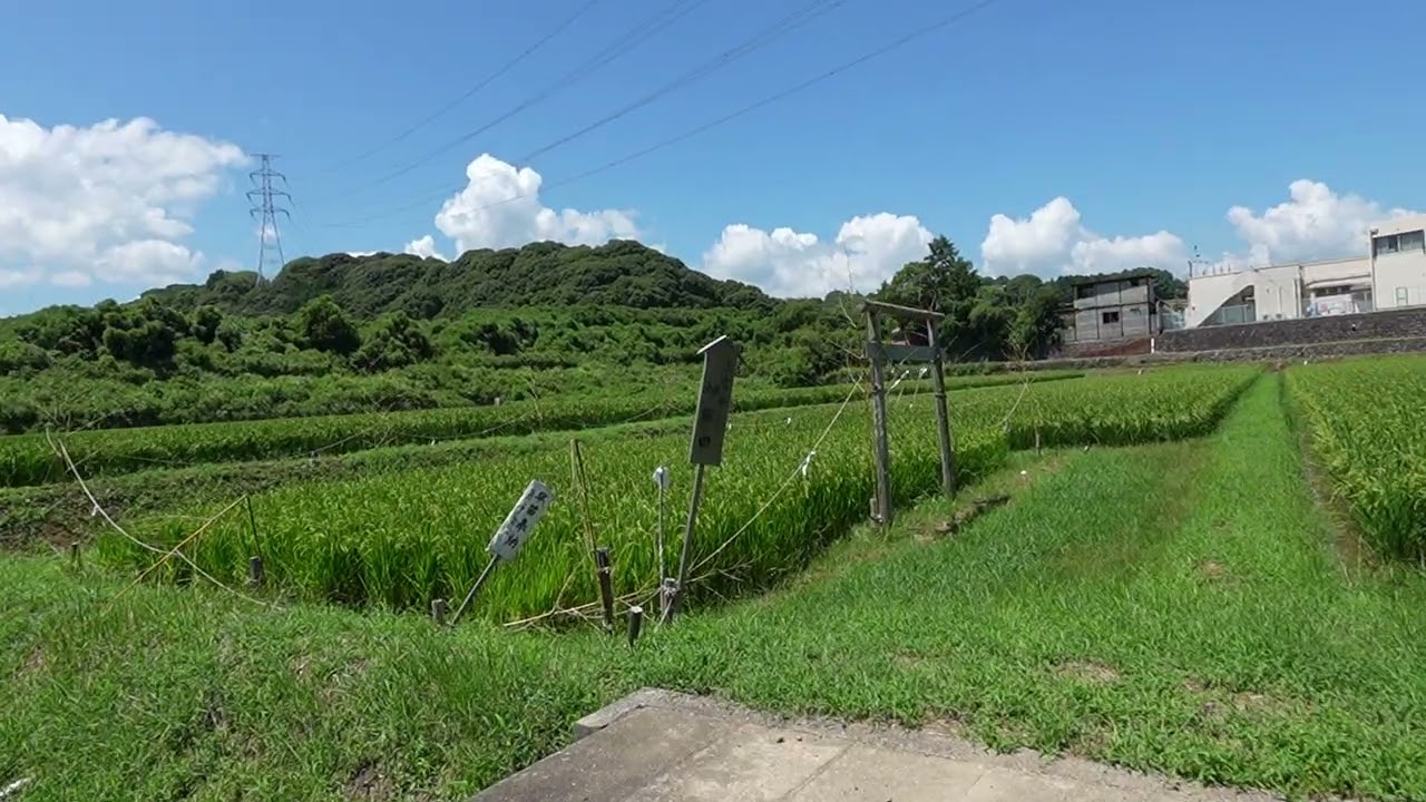 大富神社　御作田