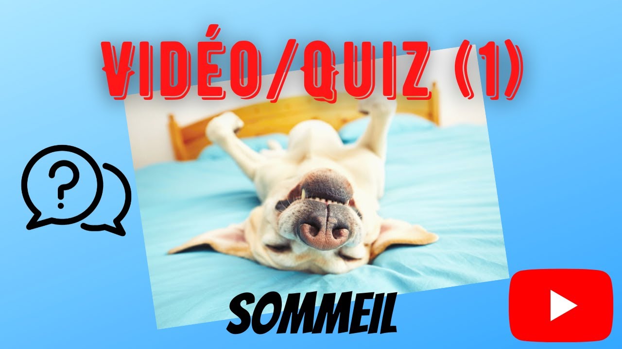 Quiz Sommeil (Part 1)
