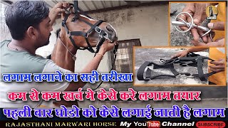 Marwari Horse ll जानिये घोडो को पहली बार केसी व केसे सही तरीके से लगाम लगानी चाहीये कम से कम खर्च मे