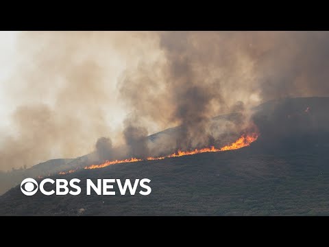 BBC reporter describes evacuation from area near Greek wildfire