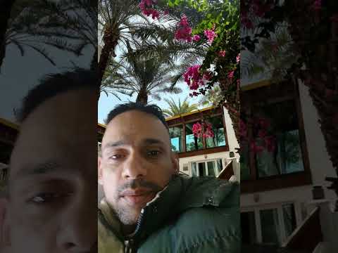   محمد عبده