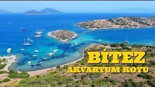 Bi̇tez Akvaryum Koyuna Zorda Olsa Gi̇debi̇ldi̇k Bodrum Gezi̇lecek Yerler