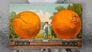 King Citrus and the Selling of the California Dream | LA Foodways | KCET