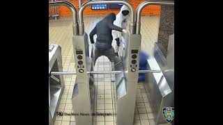 Mugging Robbery in Manhattan NYC  at the Upper East Side 59th Street subway