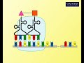 Animation 261 protein synthesis