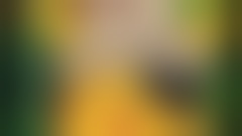 Me Reacting to Chapter 4 In a Nutshell(SDRA2 Chapter 4 SPOILERS!)