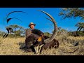 Hunting Sable on a Large Concession, Limpopo South Africa Sable Potjie on the Banks of the Limpopo!