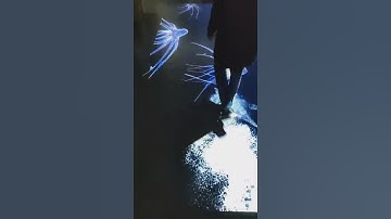 defi tech ltd interactive floor systerm   effects