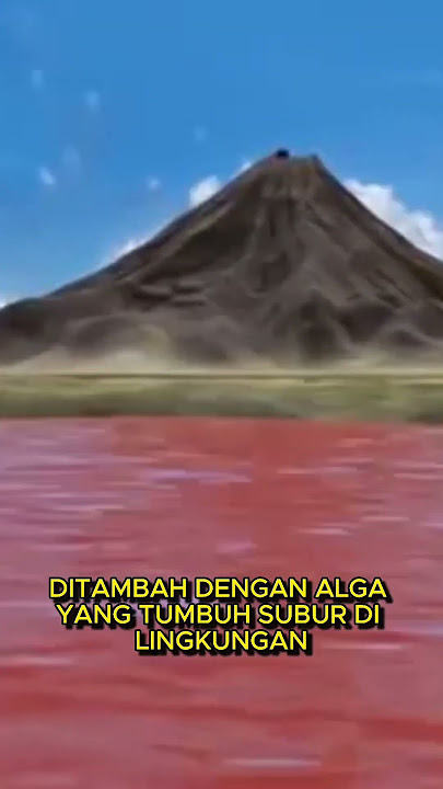 Hewan yang Mati di Danau ini Jadi MUMI #facts #shorts  #viralvideo