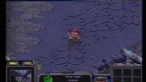 2005 Grand Final second day: StarCraft match: RazzReason vs Silent_Control
