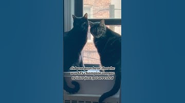 Have you heard? #jokes #riddles #jokeoftheday