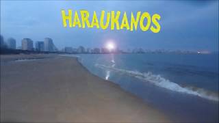 Video thumbnail of "Haraukanos - Tan Natural - OFICIAL"