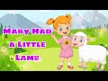 Mary Had a Little Lamb by Bebe Happy