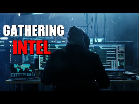 Tariq Nasheed: Gathering Intel