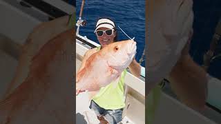 Gear up for a memorable day offshore! And be home for dinner!