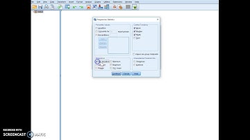 SPSS Skewness & Kurtosis
