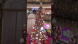 Christmas Tree Lighting countdown at SM City Baguio #baguio #christmas2022 #trending