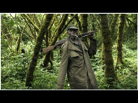 Video: Twee Toeristen Zijn Ontvoerd In Virunga National Park