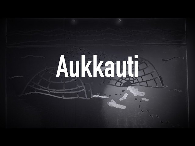 Aukkauti