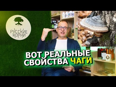 Не принимайте Чагу пока не посмотрите это видео. Полезные свойства Чаги, противопоказания Чаги.