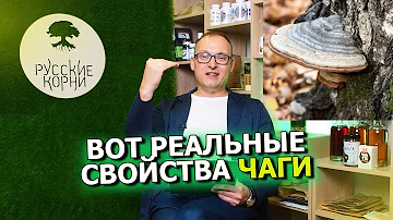 Какие побочные эффекты от чаги