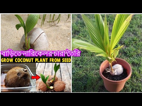 ভিডিও: খরা কিভাবে বলবো?