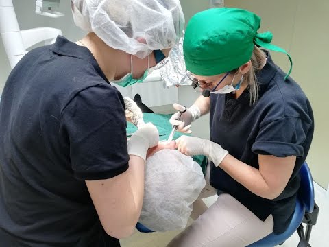 Video: Cholisal Dental - Instruktioner Til Brug Af Tandgel, Pris