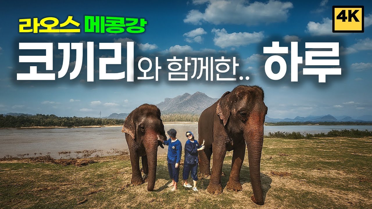 코끼리 캠프에서 보낸 하루 | 라오스 루앙프라방 여행