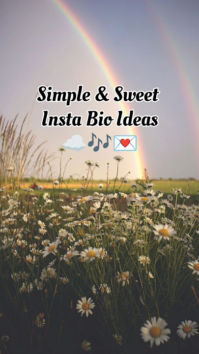 Best Simple Insta Bios #bio #instagram #insta #instabio