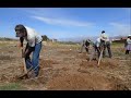 Urwald-Aufforstung in Bolivien - Naturefund