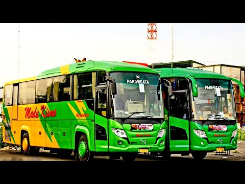 ses-2019---armada-po-madu-kismo-new-scorpion-kingbus-2+-hd