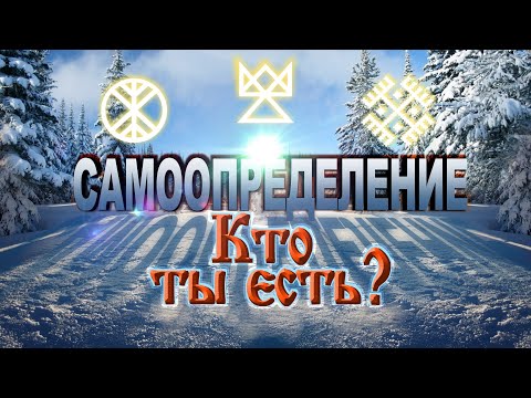 Видео: Какво е името, дадено на управителния орган на корпорация?